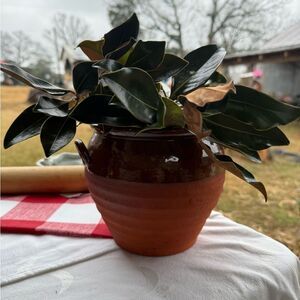 Vintage Brown Ceramic Planter